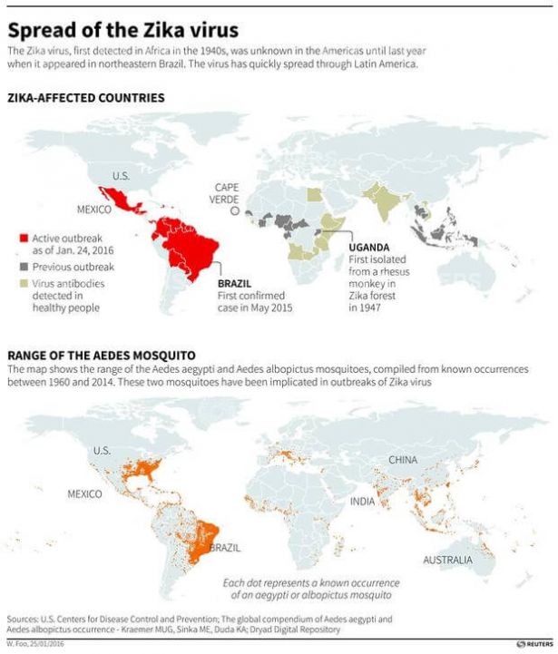 zika-virus.jpg