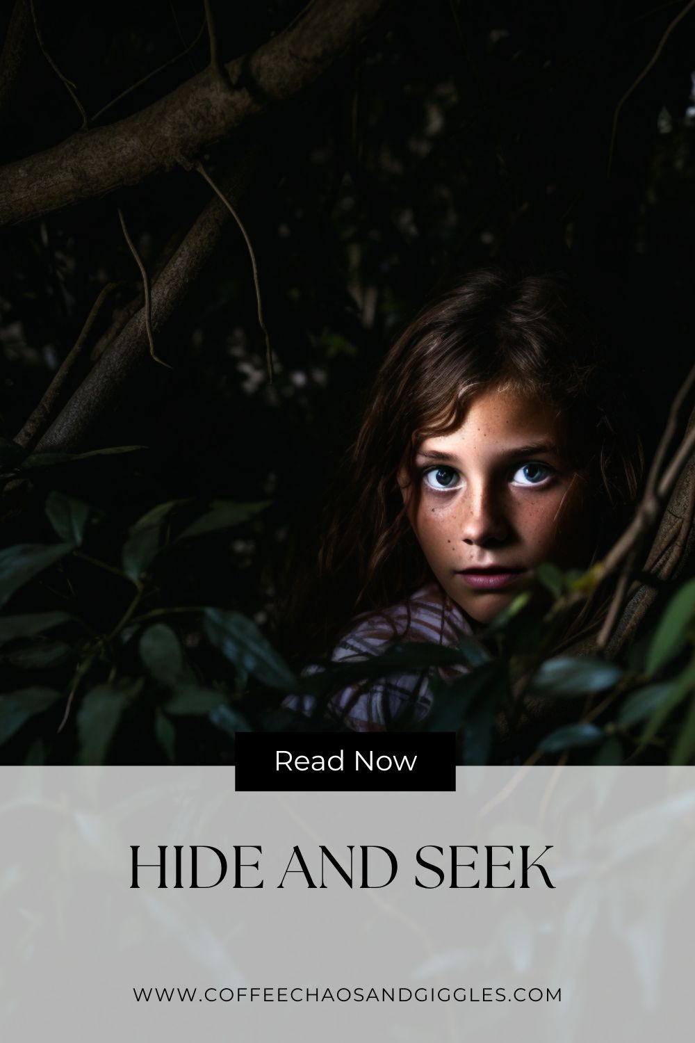 Hide and Seek