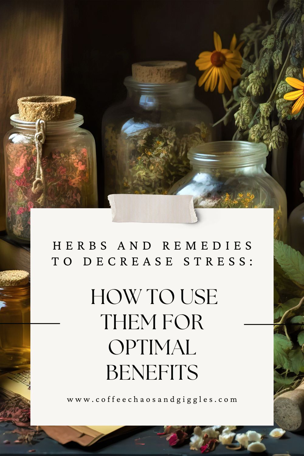 Herbs and Remedies to Decrease Stress: How to Use Them for Optimal Benefits