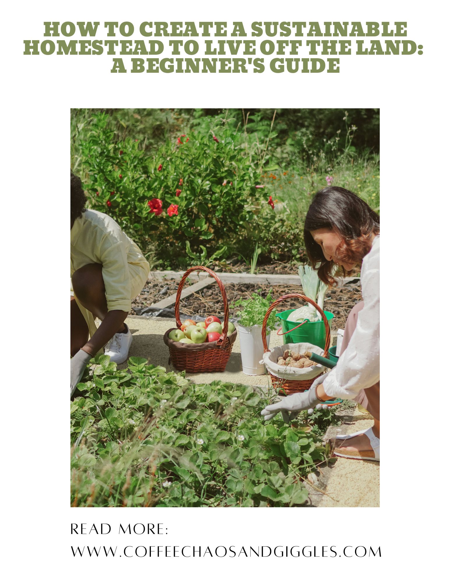 How to Create a Sustainable Homestead to Live Off the Land: A Beginner’s Guide